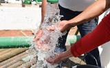 San Miguel de Allende: Construye CEAG sistemas de agua potable para comunidades en San Miguel de Allende (Zona Franca)