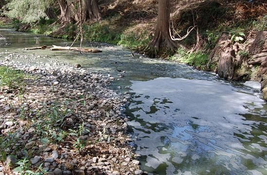 Tamaulipas: Reportan contaminación por aguas negras en varios ejidos (expreso.press)