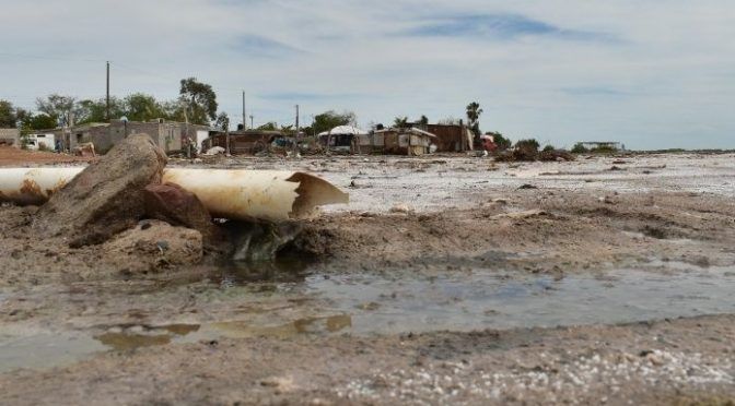 Sinaloa: El agua de la bahía Santa María está contaminada (Debate)