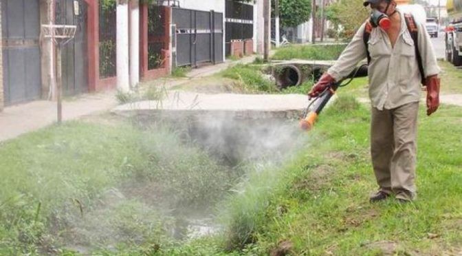 Coahuila: Intensifican labor contra el dengue (El Siglo de Torreón)