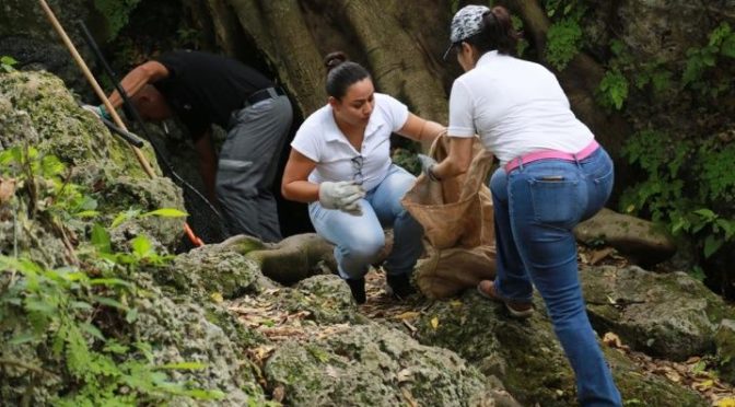 Yucatán: Limpieza de Cenotes Urbanos en Cancún (La Verdad)