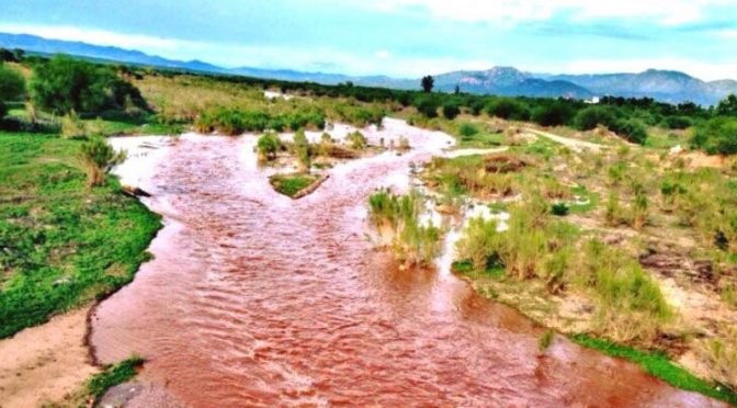 Sonora: Hay contaminación residual en cuenca del Río Sonora: UNAM (Uniradio Noticias)
