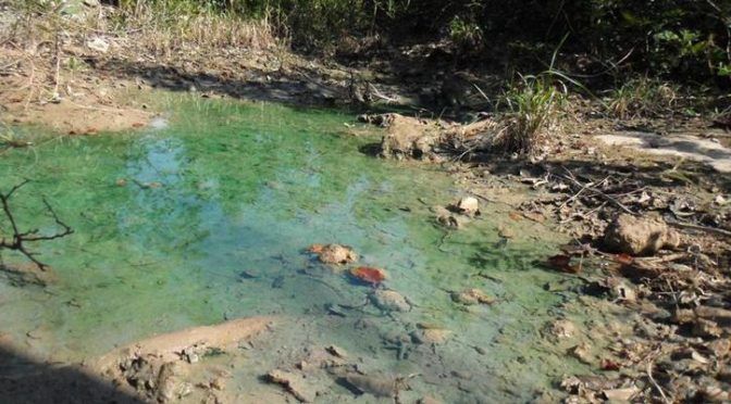Quintana Roo: Mantos acuíferos de Cozumel, altamente vulnerables (sipse)