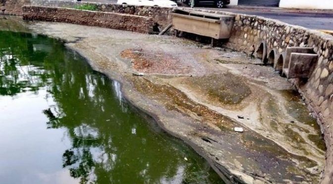 Tabasco: Contaminación causa muerte de peces en laguna Las Ilusiones (Tabasco HOY)