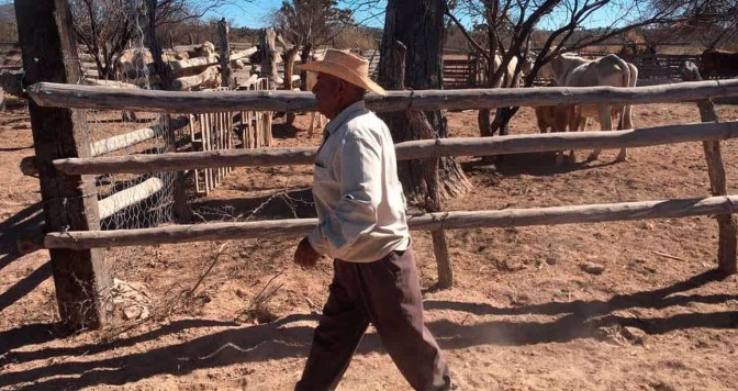 Coahuila: Aniquila a campesinos sequía y falta de recurso (La Voz)