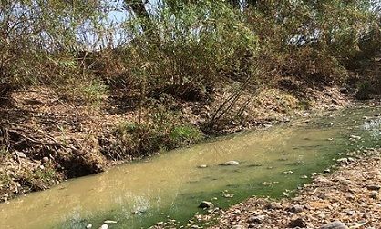 Oaxaca: Denuncian contaminación del río Mixteco (Oaxaca día día)