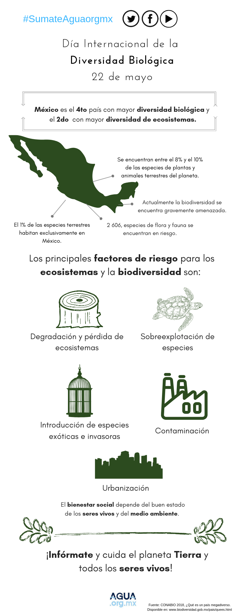 Día Internacional de la Diversidad Biológica 2019 (Infografía)
