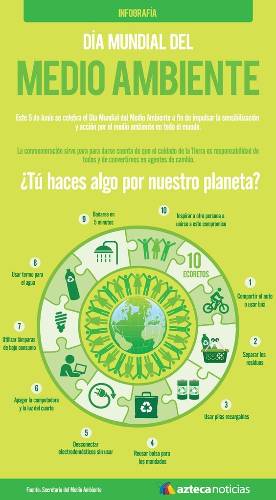 Día Mundial del Medio Ambiente (Infografía)