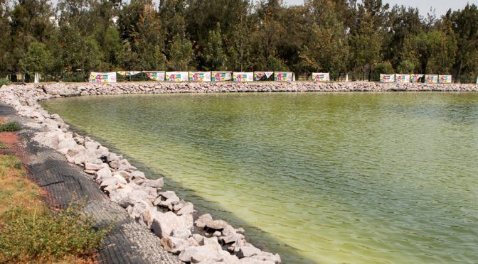 CdMx: La Ciudad de México abandona el lago que inauguró hace cinco meses (Proceso)