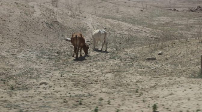 Hace crisis escasez de agua en la sierra y zona rural de Sinaloa (Linea Directa)