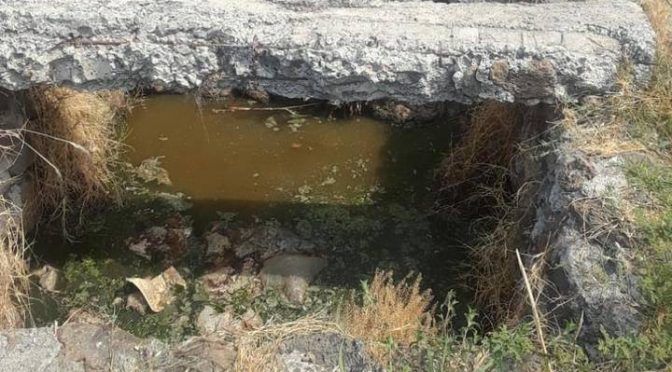Guanajuato: Llevan 20 años sin agua potable (El Sol del Bajío)