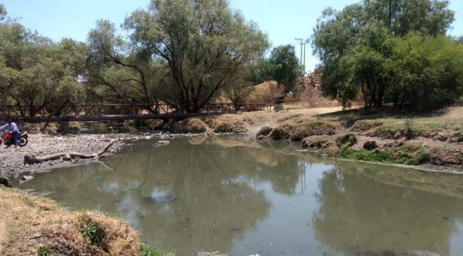 Aguascalientes: Olvidan autoridades contaminación en río (El Sol del Centro)