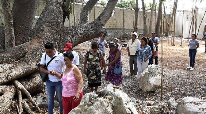 Yucatán: Ambientalistas trabajan en un parque ecológico (Turquesa News)