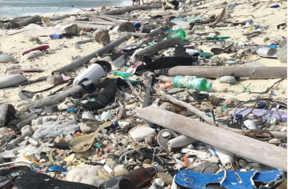 Australia: Así afecta el plástico de los cepillos dientes al mar (CC News)