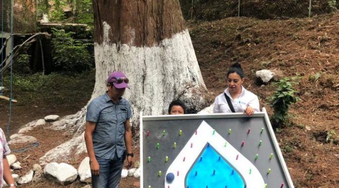 Michoacán: SAPA de Zitácuaro celebró el Día del Niño en la zona de los manantiales de La Carolina ( El clarin)