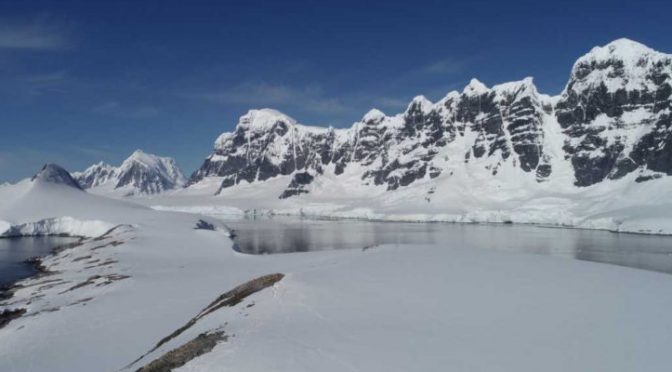 Chile: Derretimiento de glaciares antárticos ayudó al desarrollo de microalgas, según estudio (BioBio Chile)