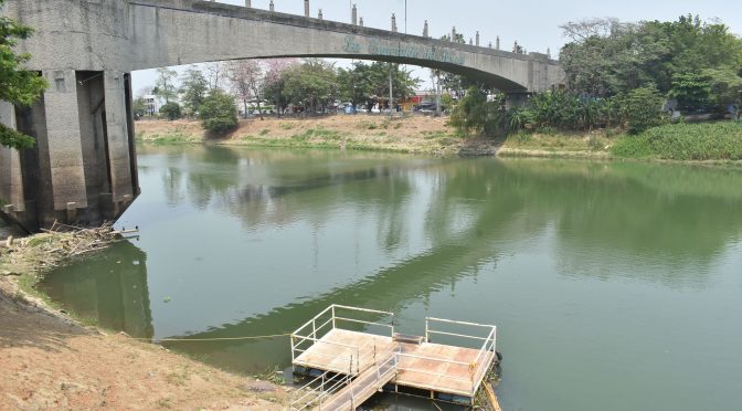 Tabasco: Por contaminación, proliferan las algas en el río Grijalva (Novedades de Tabasco)