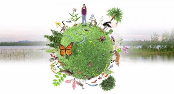 Pérdida de Biodiversidad: Causas y Efectos