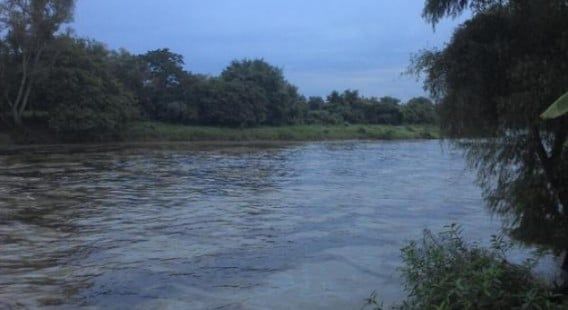 Veracruz: Infestado de fauna nociva el río Cazones (Vanguardia de Veracruz)