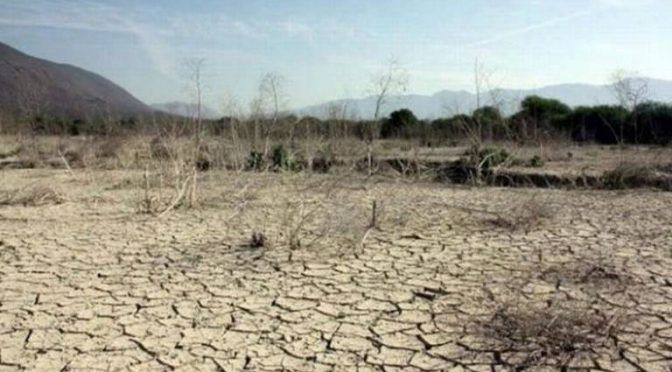 San Luis Potosí: En picada captación de agua en las presas (El Sol de San Luis)