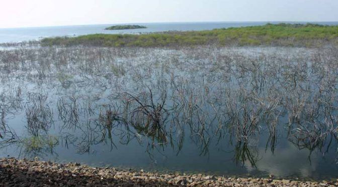 Tamaulipas: Calor evapora el agua de las presas: CEAT (Expreso.press)
