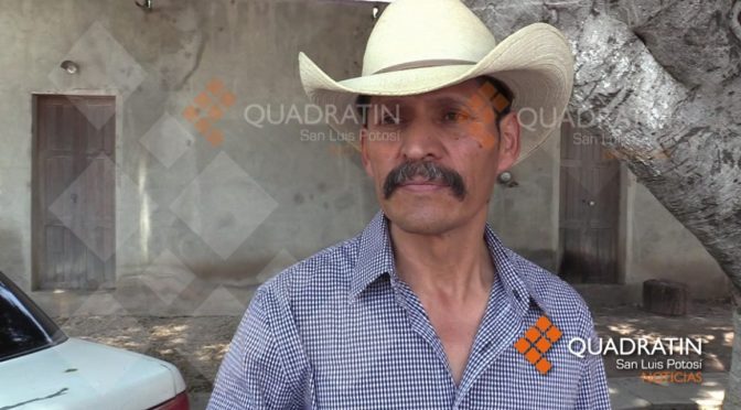 San Luis Potosí: Producción agrícola paralizada por sequía en zona media (Quadratín)