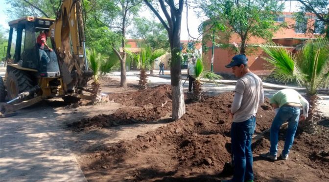 Puebla: Tromba genera malos olores y contaminación en Tehuacán (El Popular)