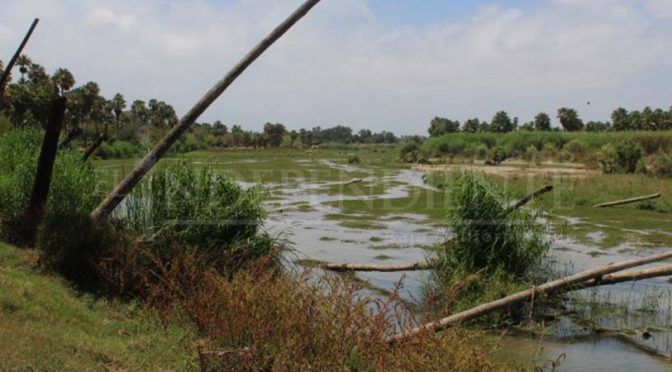 Baja California Sur: El Estero si esta contaminado por derrames de aguas negras, confirma Coepris (Diario el Independiente)