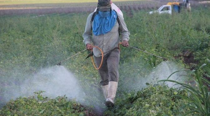 San Luis Potosí: Abonos y fertilizantes contaminan el agua (inforural)
