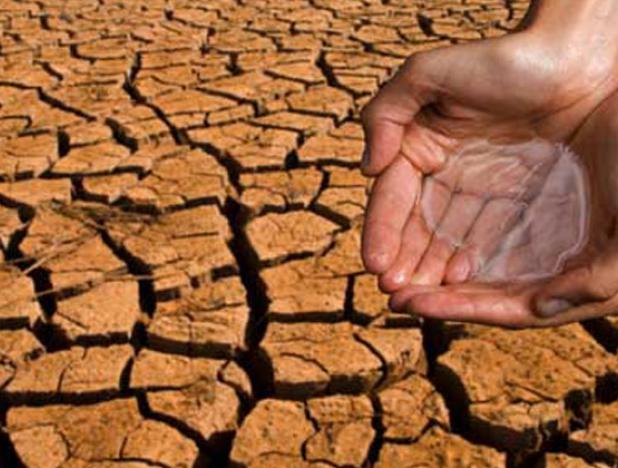 Día Mundial de Lucha contra la Desertificación y la Sequía (infografía)
