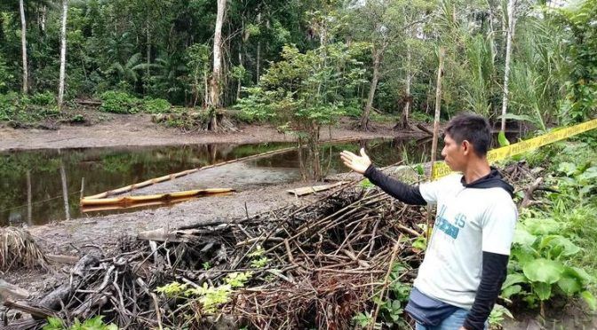 Perú: La maldición del petróleo envenena a los indígenas de la Amazonía peruana (Biodiversidad LA)
