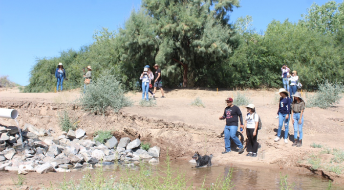 Mexicali: Se benefician sanluisinos con agua del río Colorado (La Voz)