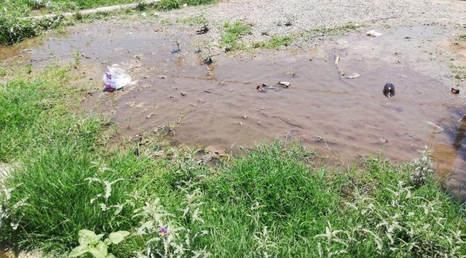 Coahuila: vecinos sufren escasez y fuga de agua potable en fraccionamiento de Torreón (Multimedios)