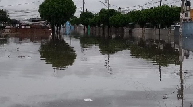 Guanajuato: alistan proyecto para prevenir inundaciones en León (Milenio)
