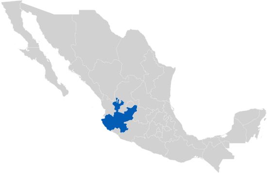 Jalisco: Acuíferos vedados detonan concesiones en el mercado negro (Informador.mx)