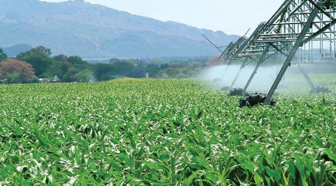 CDMX: Alerta FAO de alto consumo de agua en agro e industria (MILENIO)