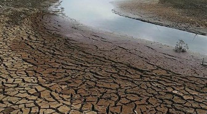 La sequía en India provoca comportamientos extraños en animales (El Espectador)