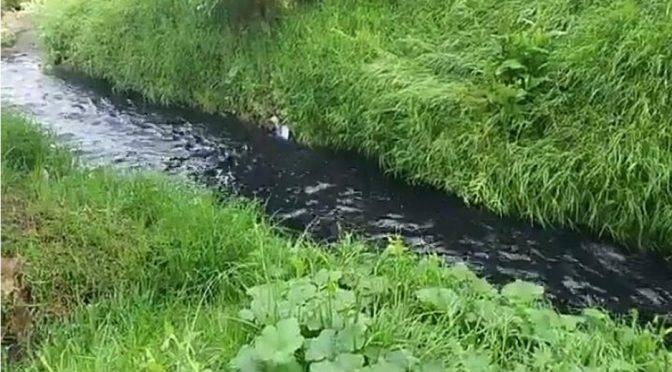 Puebla: Negro, así de contaminado luce el río Acotzala en Texmelucan (4cambio)