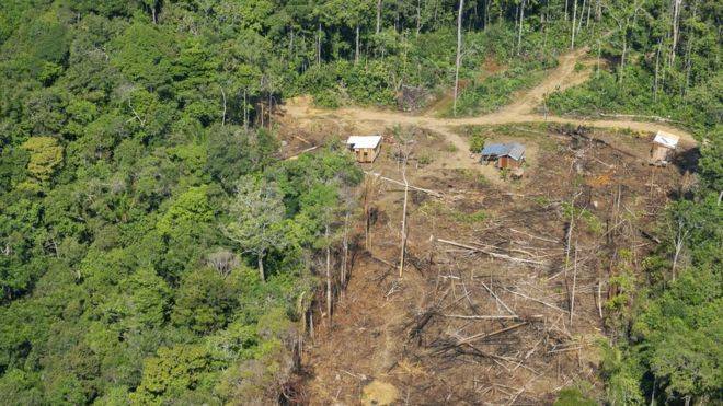 Amazonas: por qué se ha acelerado la deforestación con la llegada de Bolsonaro a la presidencia de Brasil (BBC)
