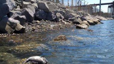 Sonora: Impiden a autoridades diagnosticar daños por derrame de ácido en bahía de Guaymas (La jornada)
