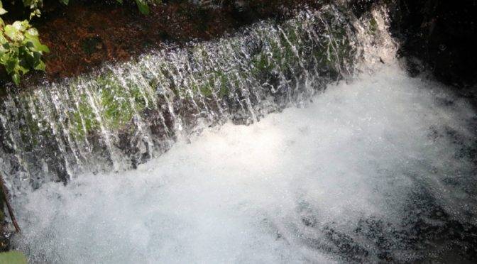 Buscarán impedir la privatización del agua en Tabasco (24 Horas)