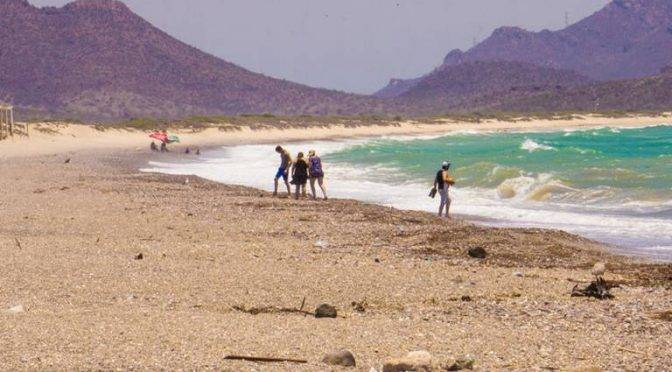 Sonora: Derrame de Grupo México en Mar de Cortés afecta al sector pesquero (El Sol de La Laguna)