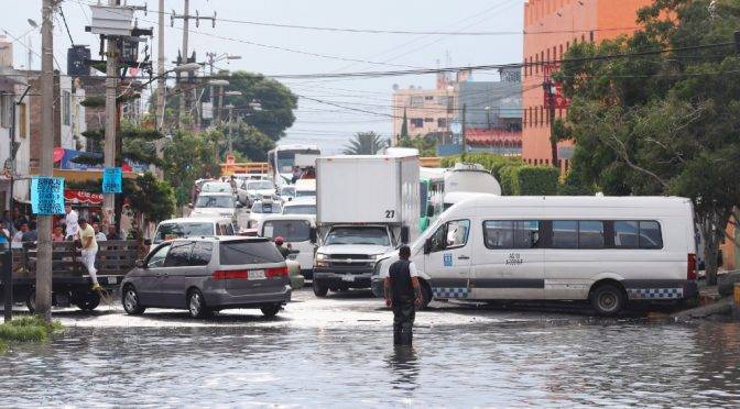CDMX: Fuertes lluvias provocan inundaciones y caídas de árboles (La Jornada)