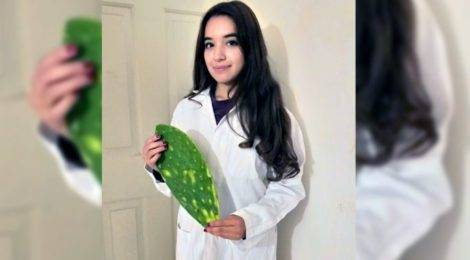 Estudiante mexicana inventa cápsula de nopal que ayuda a purificar el agua (msn)