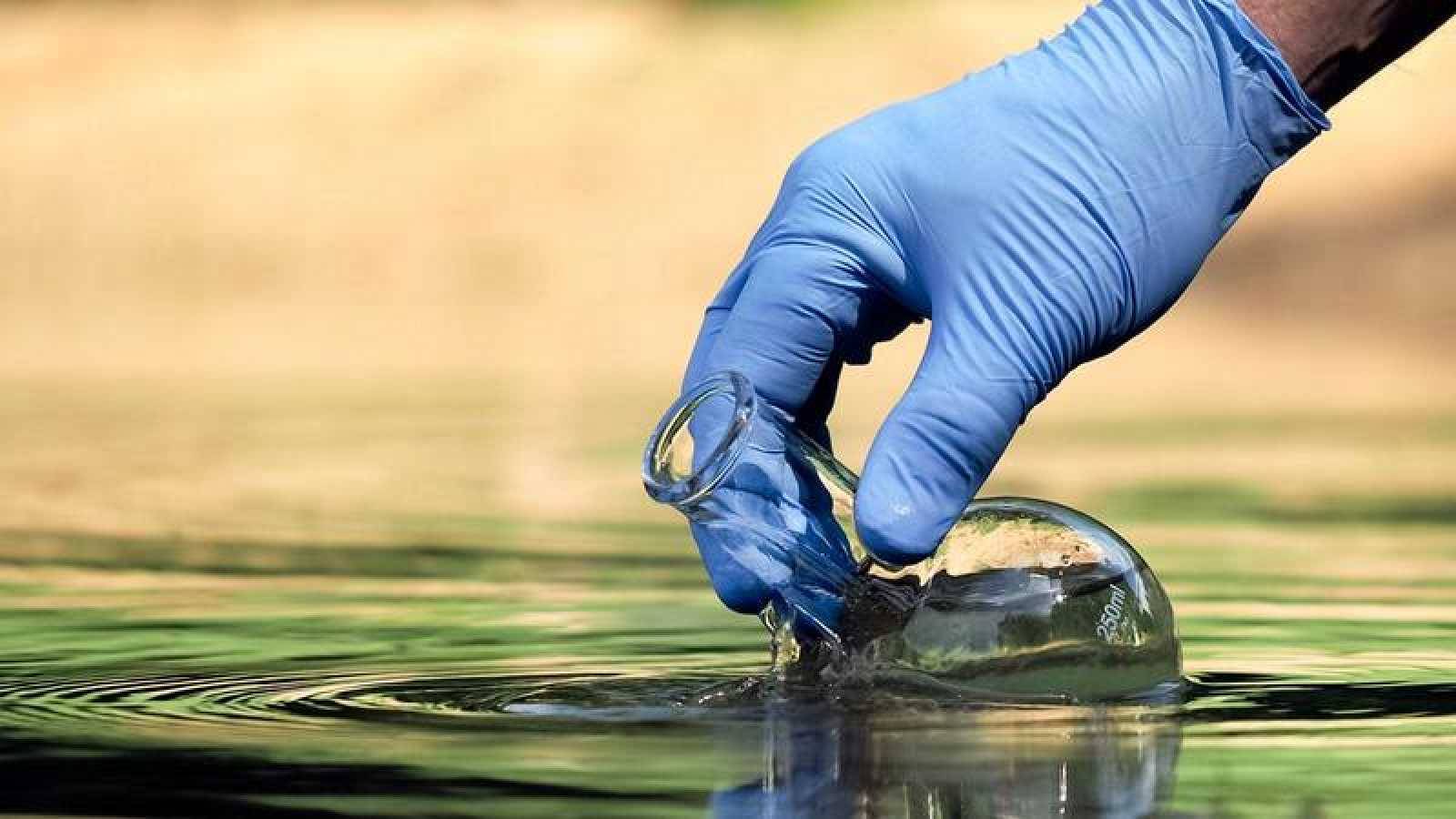 Экологическое качество воды