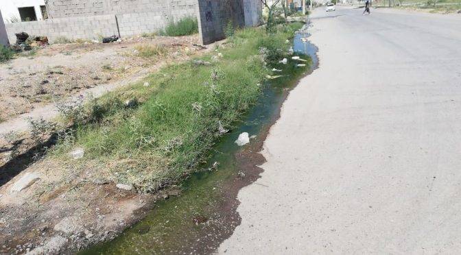 Coahuila: aguas negras generan molestias en vecinos de la colonia Villas de Zaragoza en Torreón (Telediario)