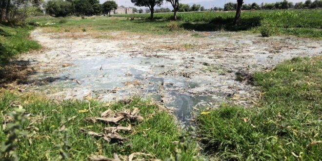 Hidalgo: Sin recursos para solucionar contaminación por fosas: edil (Criterio Hidalgo)