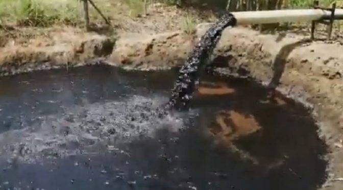 CDMX: ¡Alarmante! Denuncian derrame de petróleo en río Magdalen (extra)