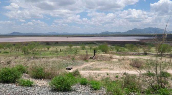 Sonora: Regresa la presencia de agua en la presa Abelardo L. Rodríguez (entre todos)