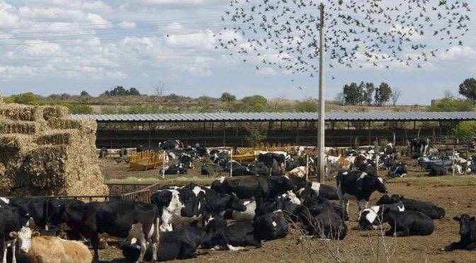 México: Ahora, bloque agropecuario celebra acuerdo del río Verde (informador.mx)